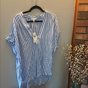 Light Blue Striped Blouse